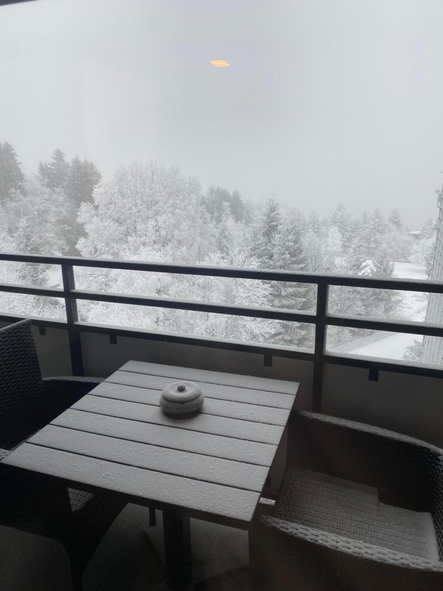 Apartment Bergluft Winterberg Am Bikepark, Skilift, Ssc 외부 사진